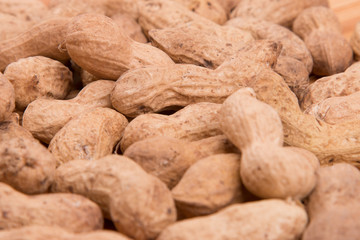 Poster - Peanut closeup on a white background.