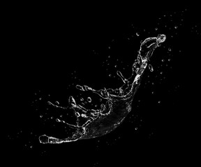 Wall Mural - Water Splash On Black Background