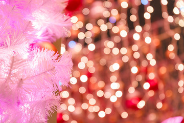 Wall Mural - Branches of the Christmas tree and colored lights.