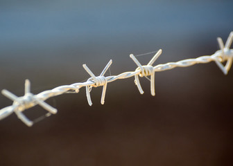 barbed wire fence