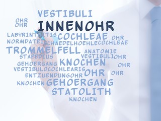 Poster - Innenohr