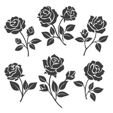 Rose Silhouettes Vector Illustration. Black Buds And Stems Of Roses Stencils Isolated On White Background