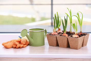 Canvas Print - Seedling of plants in pots on window sill