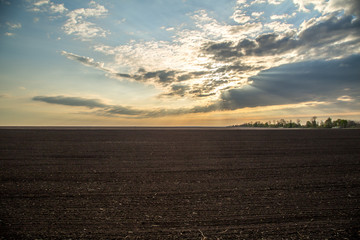 Wall Mural - dawn on the field
