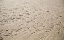 Textured Wet Sand On The Beach