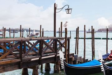 Canvas Print - Gulls and gondolas in Venetian lagoon