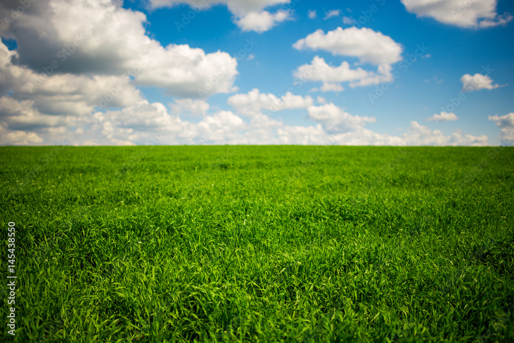 Green grass and blue sky with white clouds Stock Photo | Adobe Stock