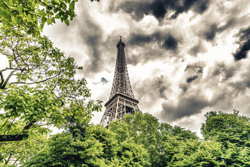 Wall Mural - Particular view of Eiffel tower