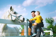 Father And Son Are Feed A Horse At Countryside.