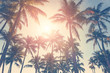 canvas print picture - Tropical beach with palm trees and sunny sky, hot summer day