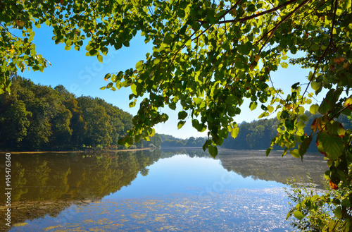beautiful-view-of-the-lake-through-the-trees