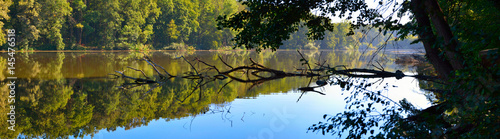 beautiful-view-of-the-lake-through-the-trees-panorama