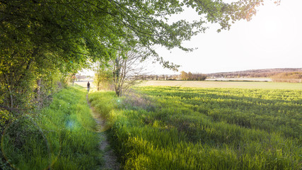 Paysage de campagne en bordure de forêt