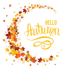 Wall Mural - beautiful autumn leaves