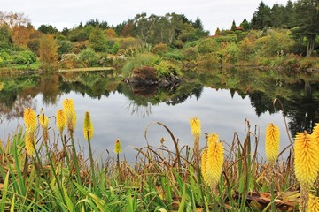 Wall Mural - Autumn Lake