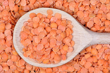 Wall Mural - Red lentils in a wooden spoon