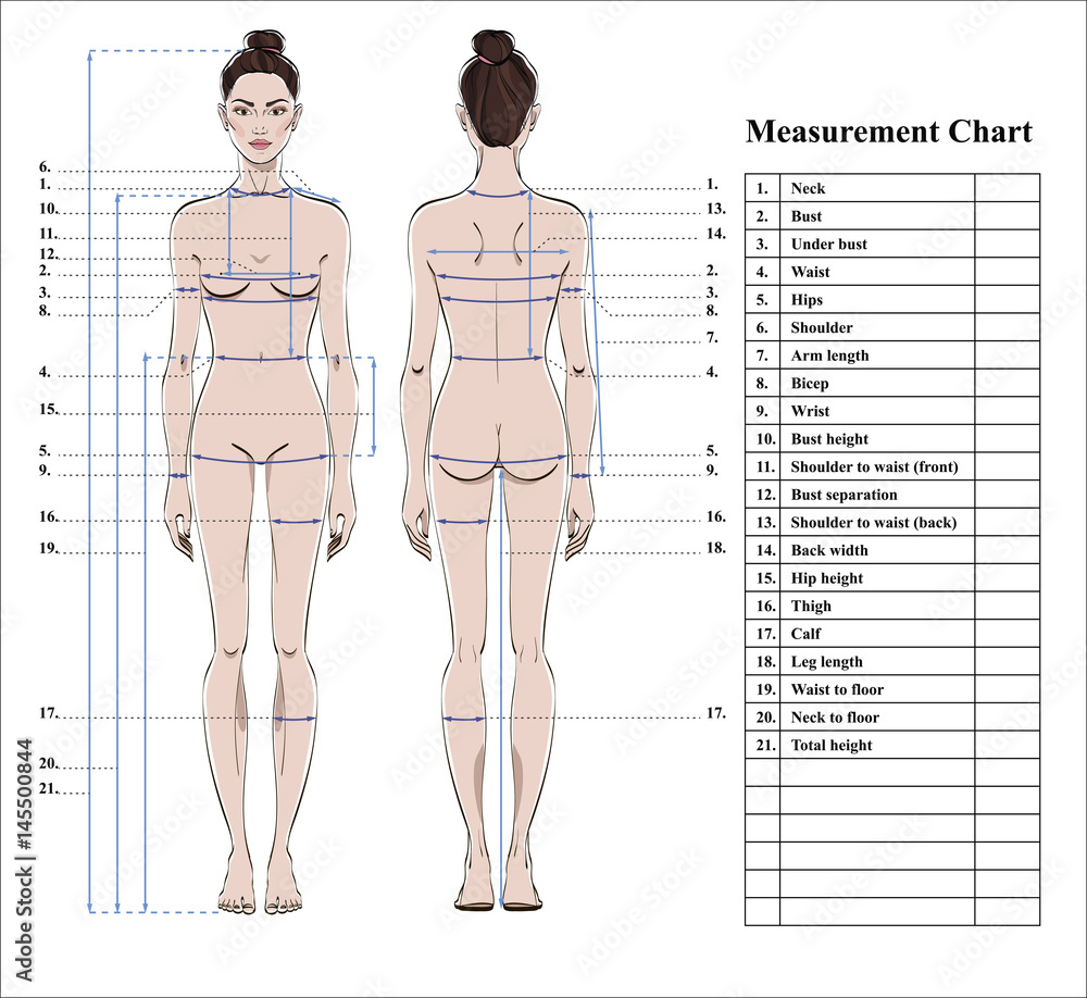 Body Measurements Template from as2.ftcdn.net