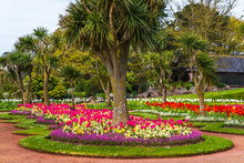 City Park With Exotic Trees And Lots Of Color Flowers, A Wonderful Resting Place, Alley Among Trees And Flowers