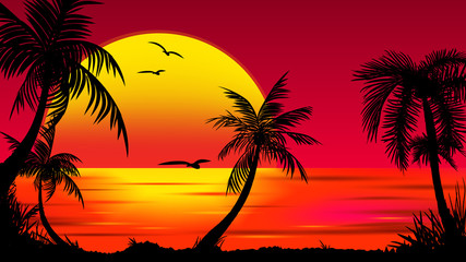 Wall Mural - Summer tropical backgrounds set with palms, sky and sunset