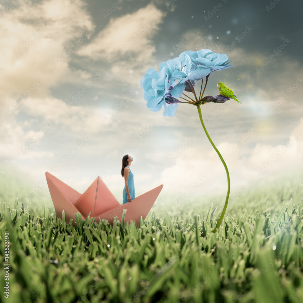 Heavenly photo manipulation of a girl standing alone in an origami paper  boat in a magic bright field with sparkling flowers and grass Stock  Illustration | Adobe Stock, image size:1000x1000