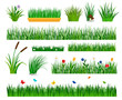 Growing grass template for garden