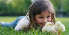 The Best Moments From Life, The Sweet Girls, Plays In The Park With Little Chickens(yellow), On The Background Of Green Grass And Trees, The Concept: Children, Love, Ecology, Environment, Youth.