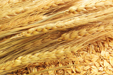 Close up of rolled oats