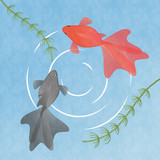 水の中を泳ぐ2匹の金魚 イラスト素材 夏 季節素材 和風素材 Stock Illustration Adobe Stock