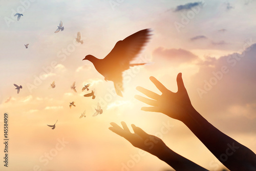 Foto Woman praying and free the birds flying on sunset background, hope concept