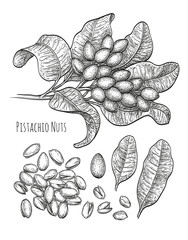 Canvas Print - pistachio nuts set.