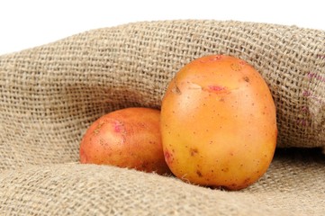 New organic potatoes on sackcloth