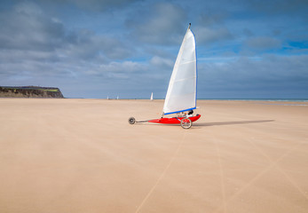 Wall Mural - char à voile sur la plage