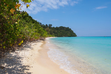 Wall Mural - Pristine beach on Koh Rok island in southern Thailand