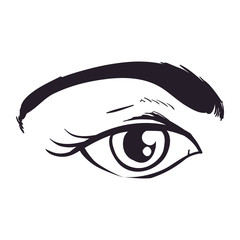 Wall Mural - Woman eye sketch icon vector illustration graphic design