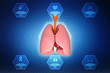 © jijomathai - Healthy Human Lungs 3d illustration