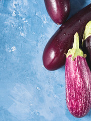 Purple eggplants on blue textured background. Healthy organice produce