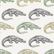Seamless pattern with Caiman.