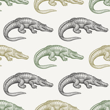 Seamless Pattern With Caiman.