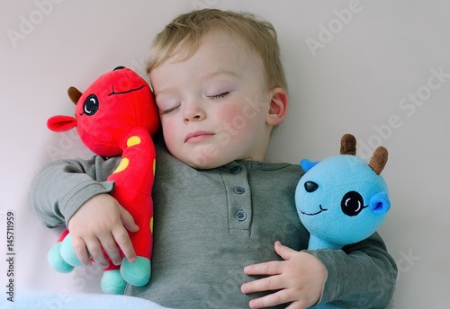 net for holding stuffed animals