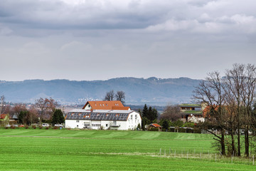 Meadow with green grass and trees during sunny early spring day in Europe, agriculture concept