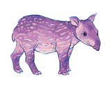 Fototapeta Dinusie - Hand drawn vector tapir