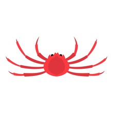 Japanese Spider Crab Icon Isolated