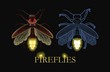 Illustration of glowing firefly