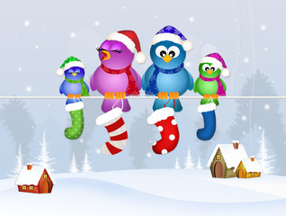 Sticker - birds family with Christmas socks