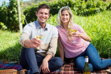 Wall Mural - Portrait of happy couple holding wineglasses on picnic blanket