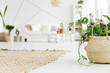 © Photographee.eu - Wicker carpet and flowerpot