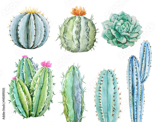 Plakat na zamówienie Zestaw różnych kaktusów - akwarela