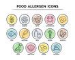Food safety allergy icons set. 14 food ingredients that must be declared as allergens in the EU. EPS 10 vector. Useful for restaurants and meals.