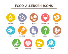 Food Safety Allergy Icons Set. 14 Food Ingredients That Must Be Declared As Allergens In The EU. EPS 10 Vector. Useful For Restaurants And Meals.