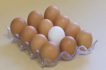 White and dark chicken eggs in a rack